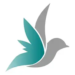 mockingbird Galbally Parker Criminal Defence Lawyers